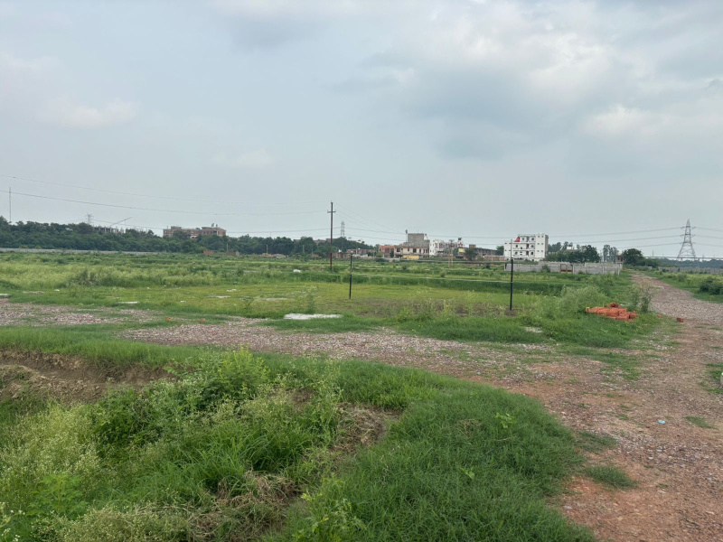  9000 Sq.ft. Commercial Land for Sale in Knowledge Park 2, Greater Noida