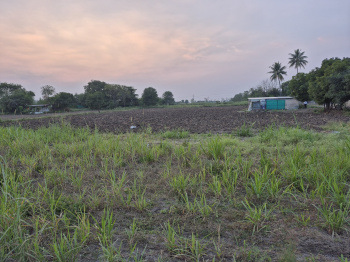 Agricultural Land for Sale in Kopargaon, Ahmednagar