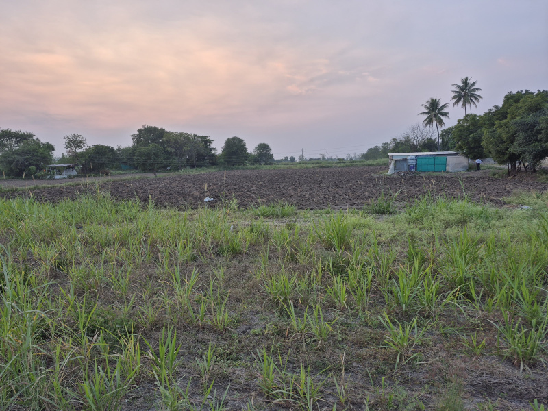  3 Acre Agricultural/Farm Land for Sale in Kopargaon, Ahmednagar