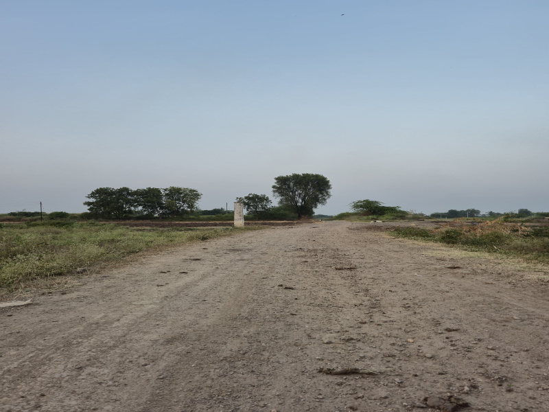  3 Acre Agricultural/Farm Land for Sale in Kopargaon, Ahmednagar