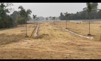 Commercial Land for Sale in Bhanu Nagar, Siliguri