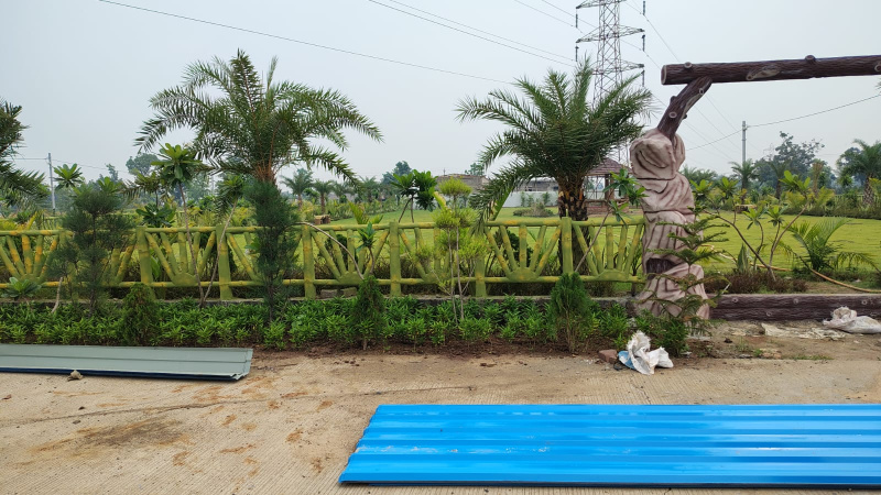 2 BHK Farm House 600 Sq.ft. for Sale in Chakarbhatha, Bilaspur