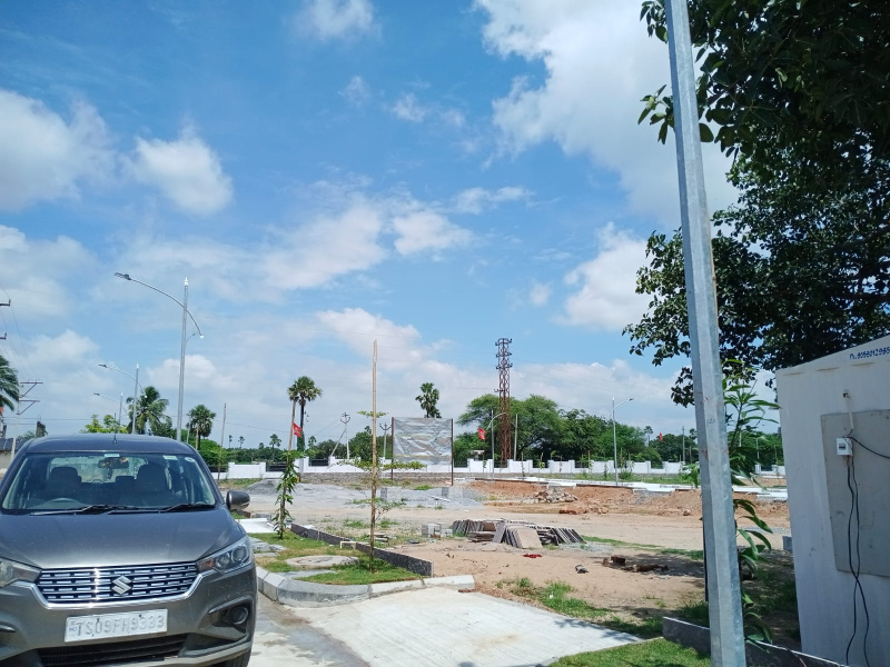 Other Image