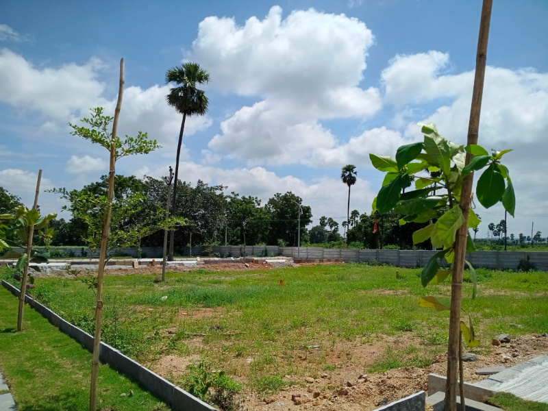  226 Sq. Yards Residential Plot for Sale in Ibrahimpatnam, Hyderabad