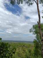  Agricultural Land for Sale in Karkala, Udupi