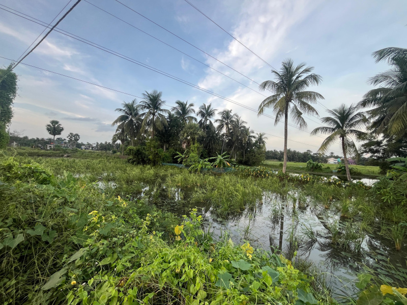  9 Katha Agricultural/Farm Land for Sale in Kolaghat, Medinipur