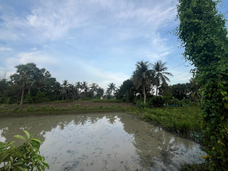  9 Katha Agricultural/Farm Land for Sale in Kolaghat, Medinipur
