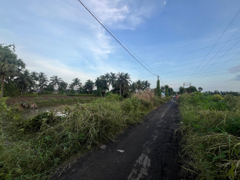  9 Katha Agricultural/Farm Land for Sale in Kolaghat, Medinipur