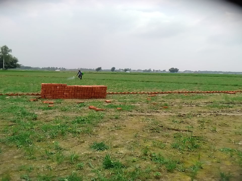  1000 Sq.ft. Residential Plot for Sale in Sultanpur Road, Lucknow