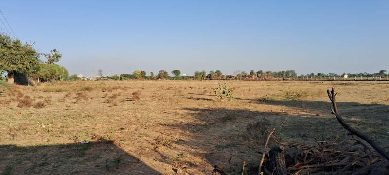  Agricultural Land 40562 Sq. Yards for Sale in Sarkhej Okaf, Ahmedabad
