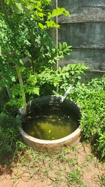  Residential Plot 1800 Sq.ft. for Sale in Moratandi, Pondicherry