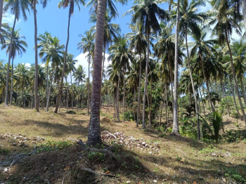  Commercial Land for Sale in Calicut, Port Blair