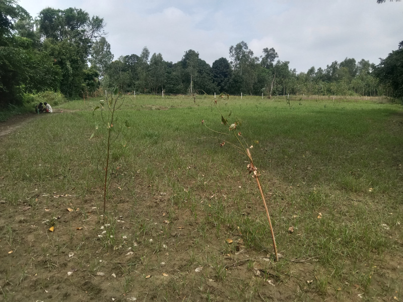  30000 Sq.ft. Agricultural/Farm Land for Sale in Pihani, Hardoi