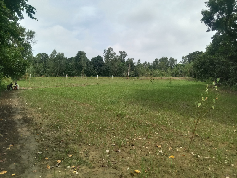  30000 Sq.ft. Agricultural/Farm Land for Sale in Pihani, Hardoi