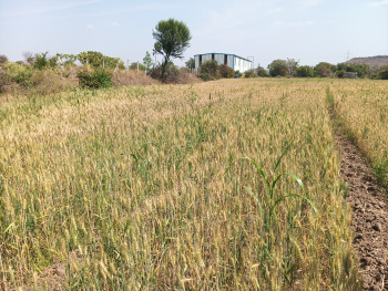  Agricultural Land for Rent in Jatwada, Aurangabad