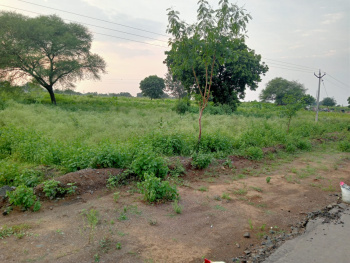  Agricultural Land for Sale in Parola, Jalgaon