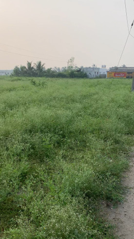  2 Acre Agricultural/Farm Land for Sale in Annur, Coimbatore