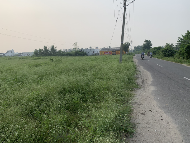  2 Acre Agricultural/Farm Land for Sale in Annur, Coimbatore