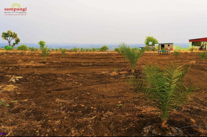  Residential Plot 605 Sq. Yards for Sale in Narayankhed, Sangareddy