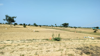 Residential Plot for Sale in Ponneri, Thiruvallur