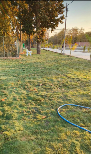  Residential Plot 1500 Sq.ft. for Sale in Pondha, Dehradun