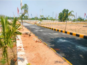  Residential Plot for Sale in Shamirpet, Hyderabad