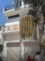 6 BHK House for Sale in Bachhrawan, RaeBareli