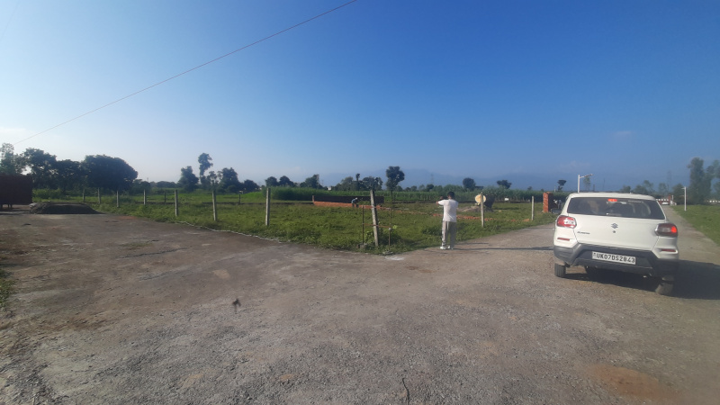  150 Sq. Yards Residential Plot for Sale in Badripur, Dehradun