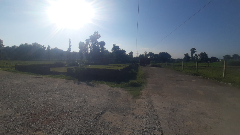  150 Sq. Yards Residential Plot for Sale in Badripur, Dehradun