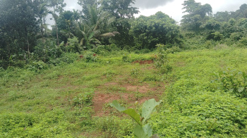  Residential Plot for Sale in Bicholim, Goa
