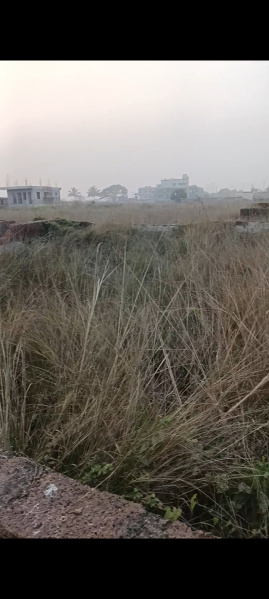  1800 Sq.ft. Residential Plot for Sale in Info Valley, Bhubaneswar