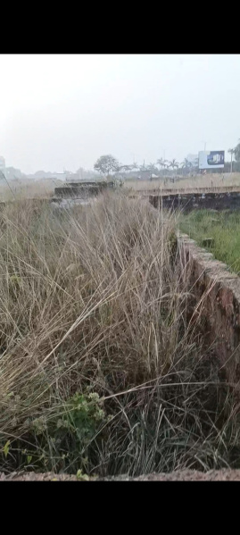  1800 Sq.ft. Residential Plot for Sale in Info Valley, Bhubaneswar