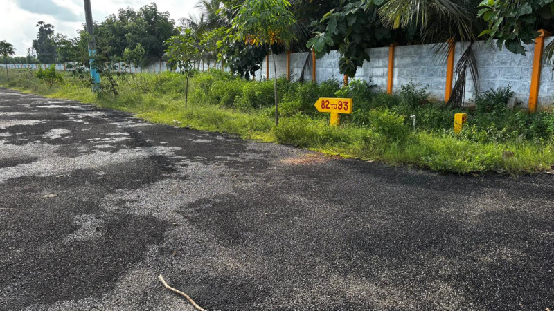  Residential Plot 200 Sq. Yards for Sale in Bhogapuram, Visakhapatnam