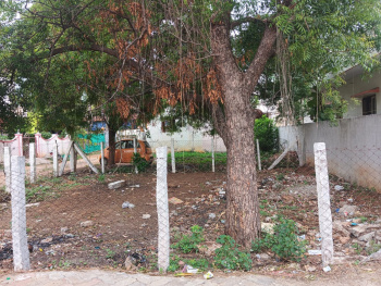  Residential Plot for Rent in Perungudi, Madurai