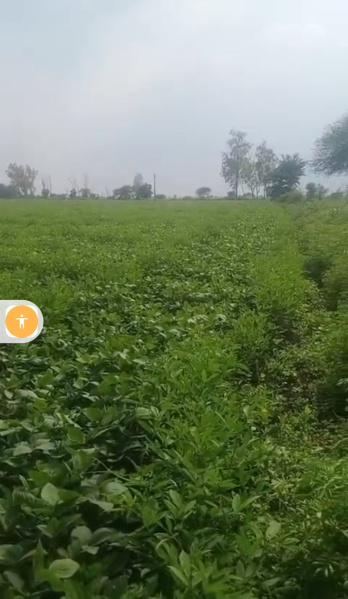  Agricultural Land 98 Ares for Sale in Chandur Bazar, Amravati