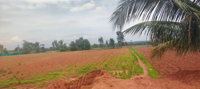  Residential Plot 1200 Sq.ft. for Sale in Rt Nagar, Hmt Layout, Bangalore