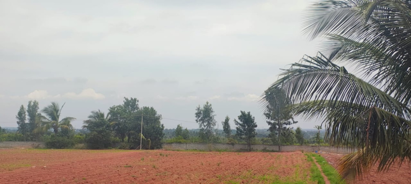  Residential Plot 1200 Sq.ft. for Sale in Rt Nagar, Hmt Layout, Bangalore