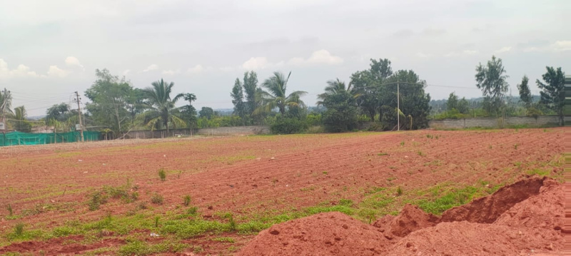  Residential Plot 1200 Sq.ft. for Sale in Rt Nagar, Hmt Layout, Bangalore