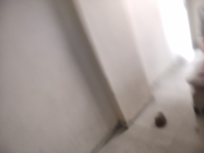  1000 Sq.ft. Office Space for Rent in Mahidharpura, Surat