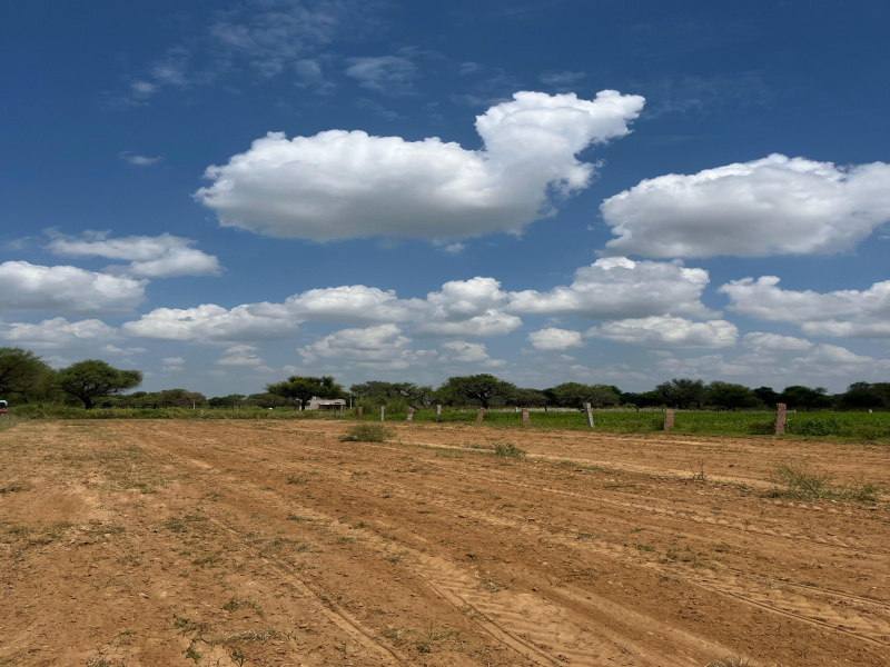  Residential Plot 200 Sq. Yards for Sale in NH 12, Jaipur