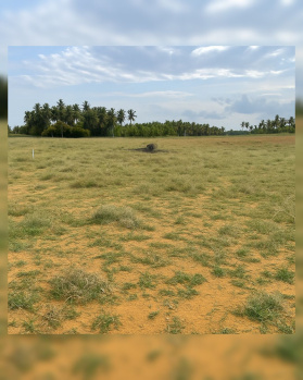  Agricultural Land for Sale in Vallioor, Tirunelveli