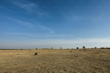  Residential Plot for Sale in Jhajha, Jamui