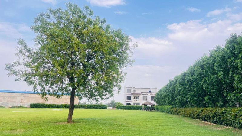  Residential Plot 1000 Sq.ft. for Sale in Sultanpur Road, Lucknow
