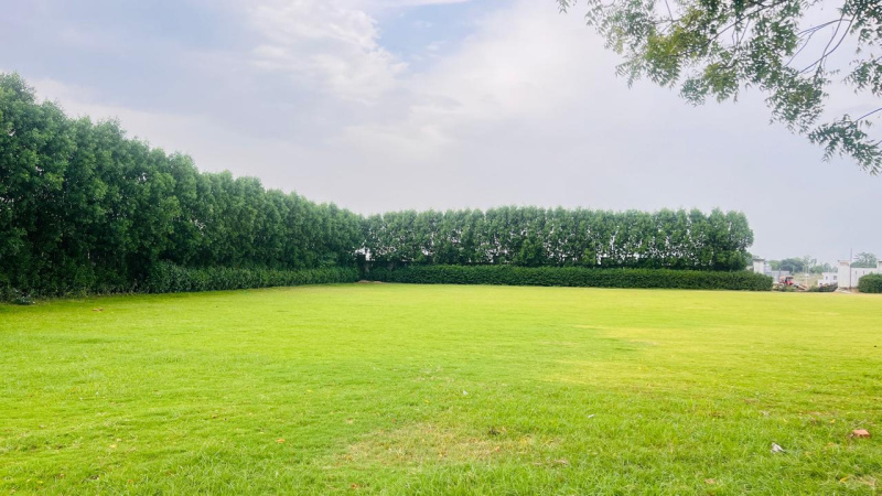 Residential Plot 1000 Sq.ft. for Sale in Sultanpur Road, Lucknow
