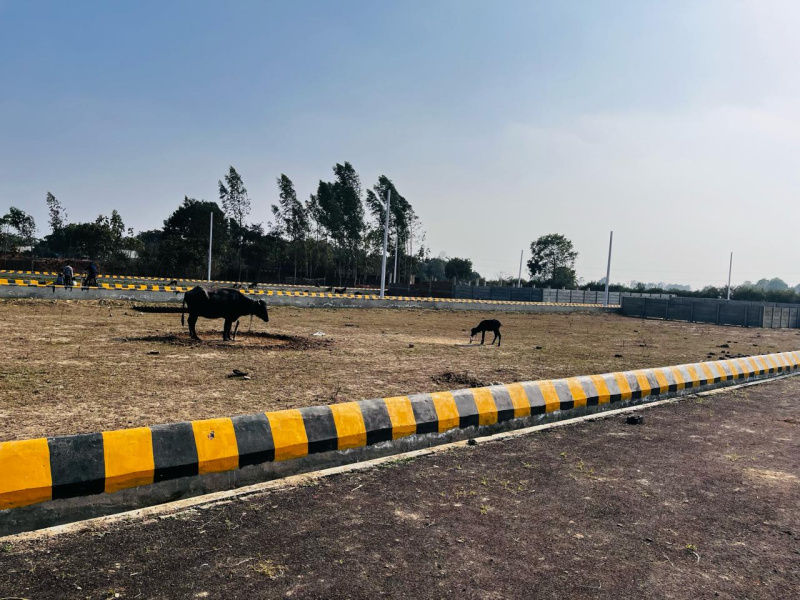  Residential Plot 1000 Sq.ft. for Sale in Bakshi Ka Talab, Lucknow