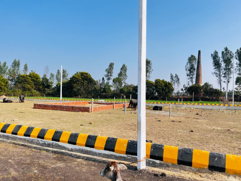  Residential Plot 1000 Sq.ft. for Sale in Bakshi Ka Talab, Lucknow