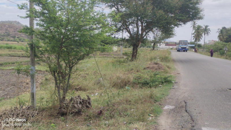  4 Acre Agricultural/Farm Land for Sale in Peraiyur, Madurai