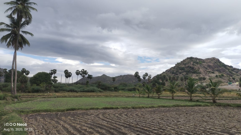  4 Acre Agricultural/Farm Land for Sale in Peraiyur, Madurai
