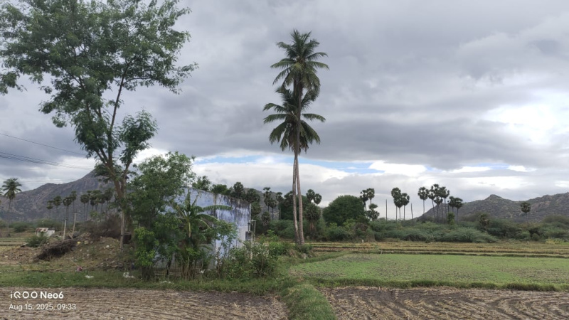  4 Acre Agricultural/Farm Land for Sale in Peraiyur, Madurai