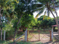  Agricultural Land for Sale in Manavasi, Karur